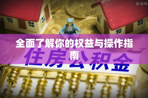 卓尼全面了解你的权益与操作指南