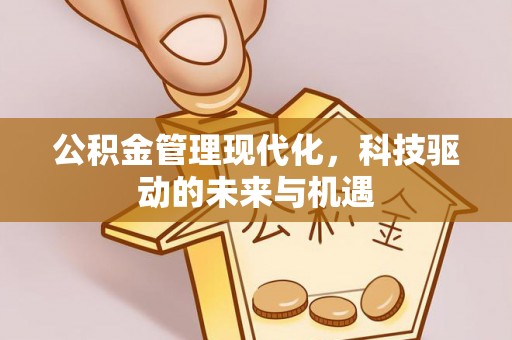 卓尼公积金管理现代化，科技驱动的未来与机遇