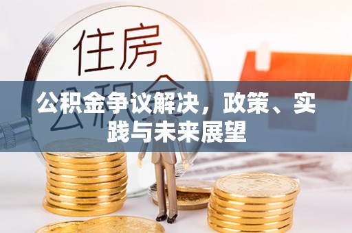 卓尼公积金争议解决，政策、实践与未来展望