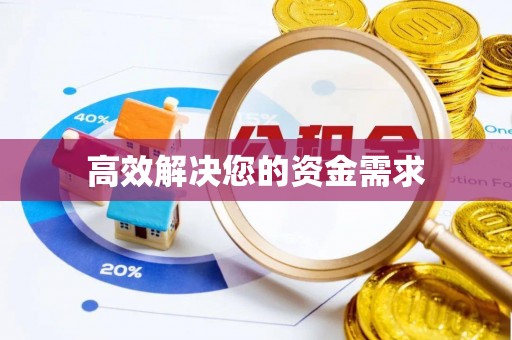 卓尼高效解决您的资金需求