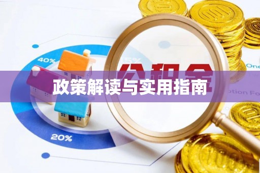 卓尼政策解读与实用指南