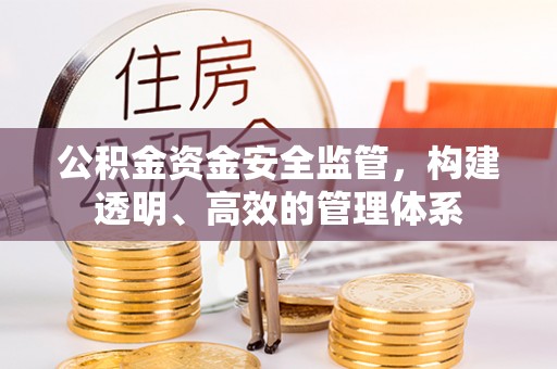 卓尼公积金资金安全监管，构建透明、高效的管理体系