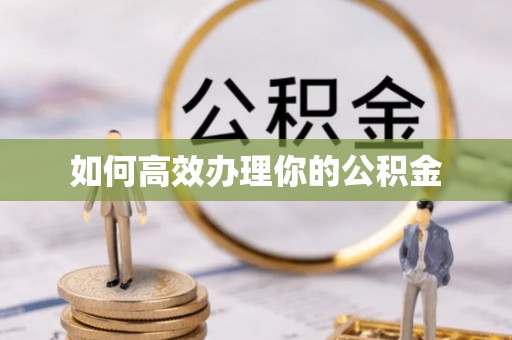 卓尼如何高效办理你的公积金