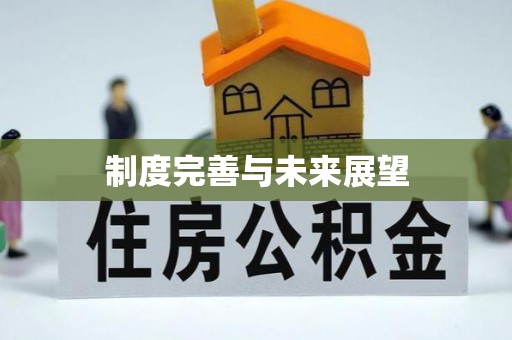 卓尼制度完善与未来展望