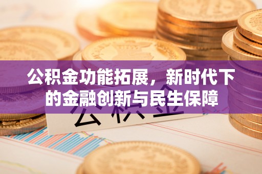 卓尼公积金功能拓展，新时代下的金融创新与民生保障