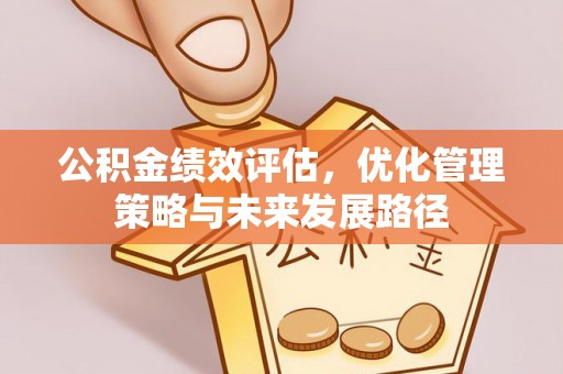 卓尼公积金绩效评估，优化管理策略与未来发展路径