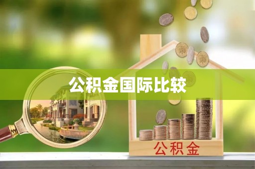 卓尼公积金国际比较