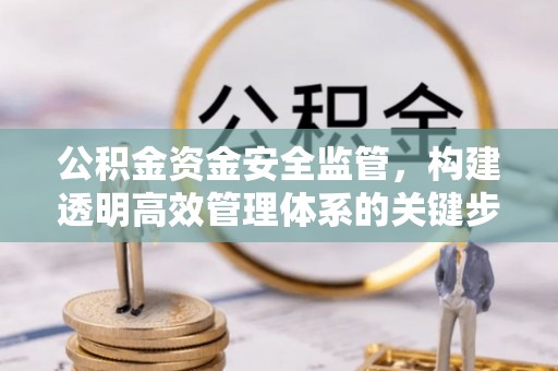 卓尼公积金资金安全监管，构建透明高效管理体系的关键步骤