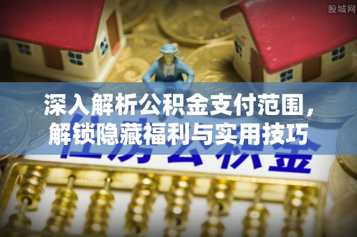 卓尼深入解析公积金支付范围，解锁隐藏福利与实用技巧
