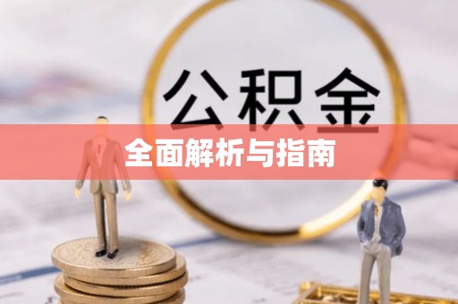 卓尼全面解析与指南