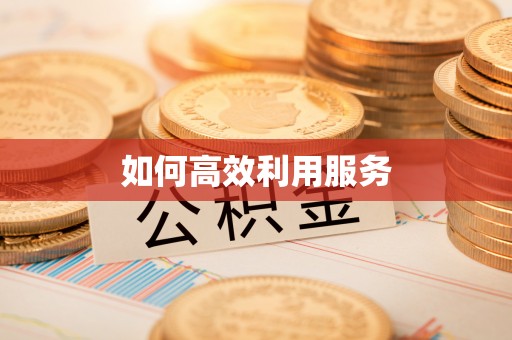 卓尼如何高效利用服务