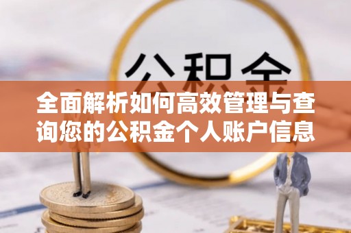 卓尼全面解析如何高效管理与查询您的公积金个人账户信息