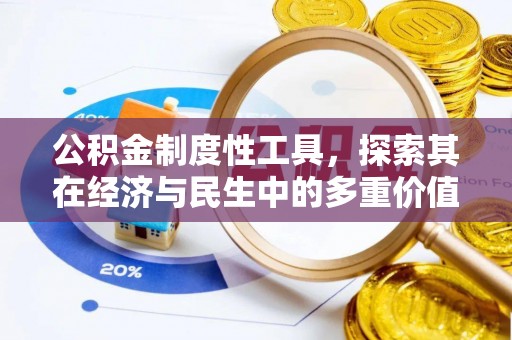 卓尼公积金制度性工具，探索其在经济与民生中的多重价值