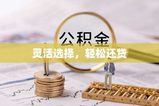 卓尼灵活选择，轻松还贷