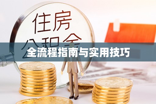 卓尼全流程指南与实用技巧