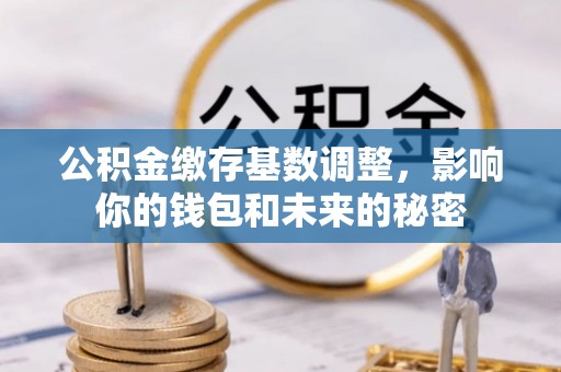 卓尼公积金缴存基数调整，影响你的钱包和未来的秘密