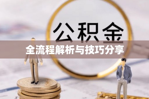 卓尼全流程解析与技巧分享