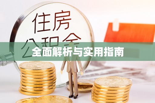 卓尼全面解析与实用指南